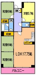 ファミール黒髪の物件間取画像